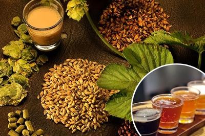 精酿啤酒原料--山东豪鲁好博在线