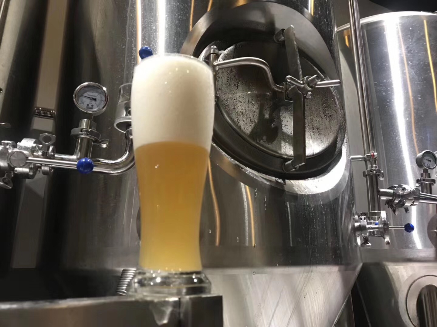 精酿好博在线厂家